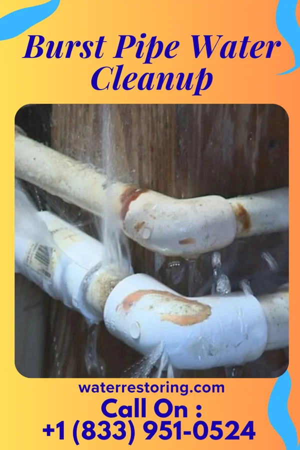 Burst Pipe Water Cleanup in Hot Springs, AR